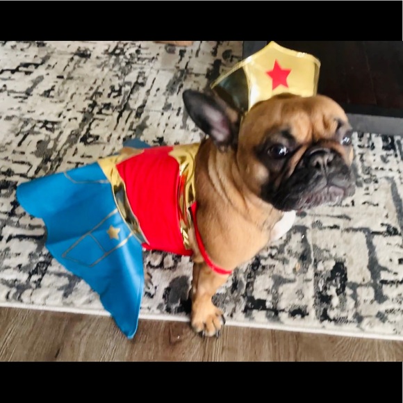 Meet your Posher, Christine - Picture 2 of 10